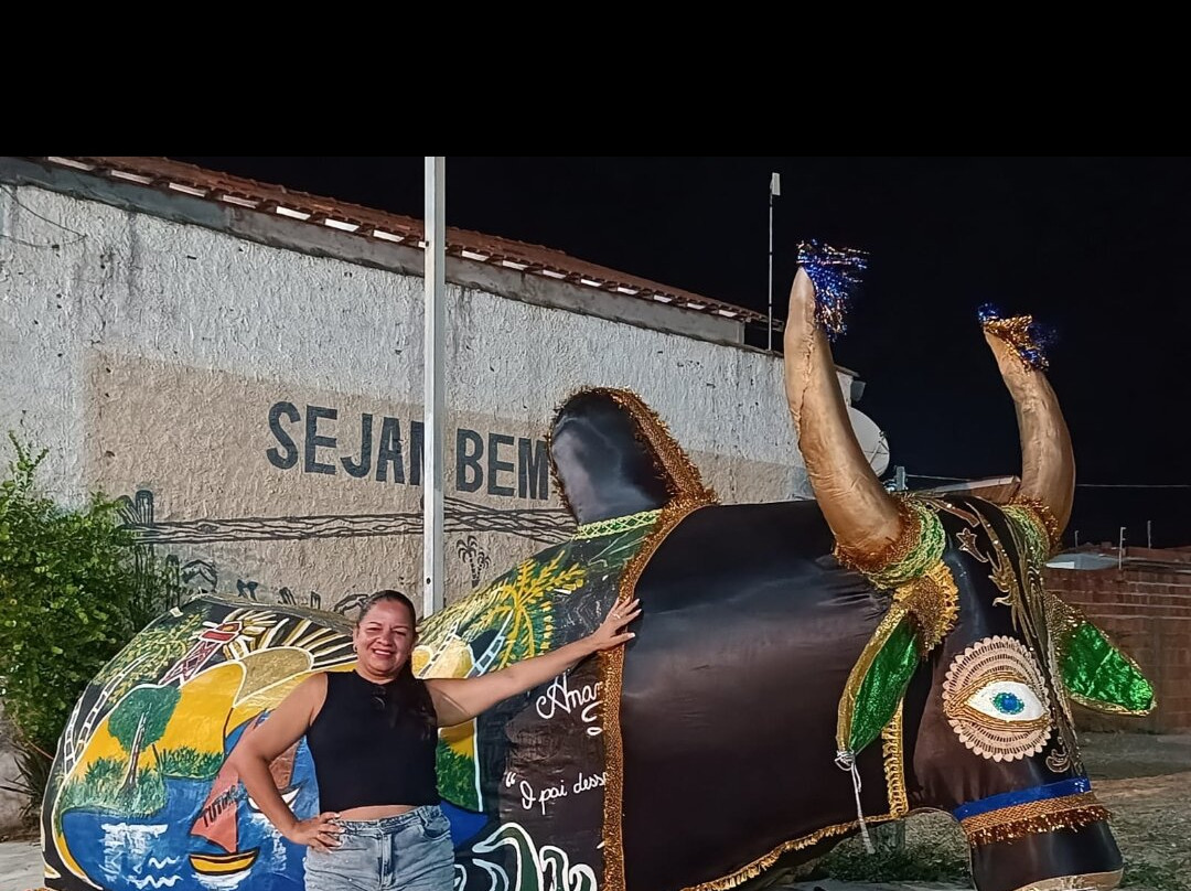 Pousada Baluarte主图