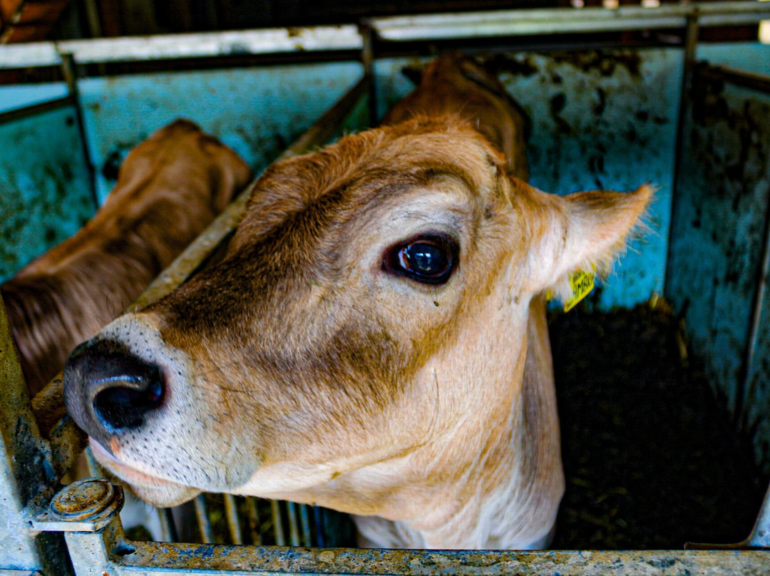 Passo Cereda-Sagron Mis必去景点