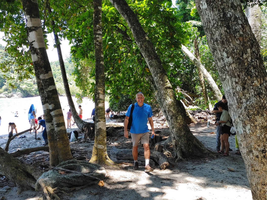 Pacific jungle adventures景点图片