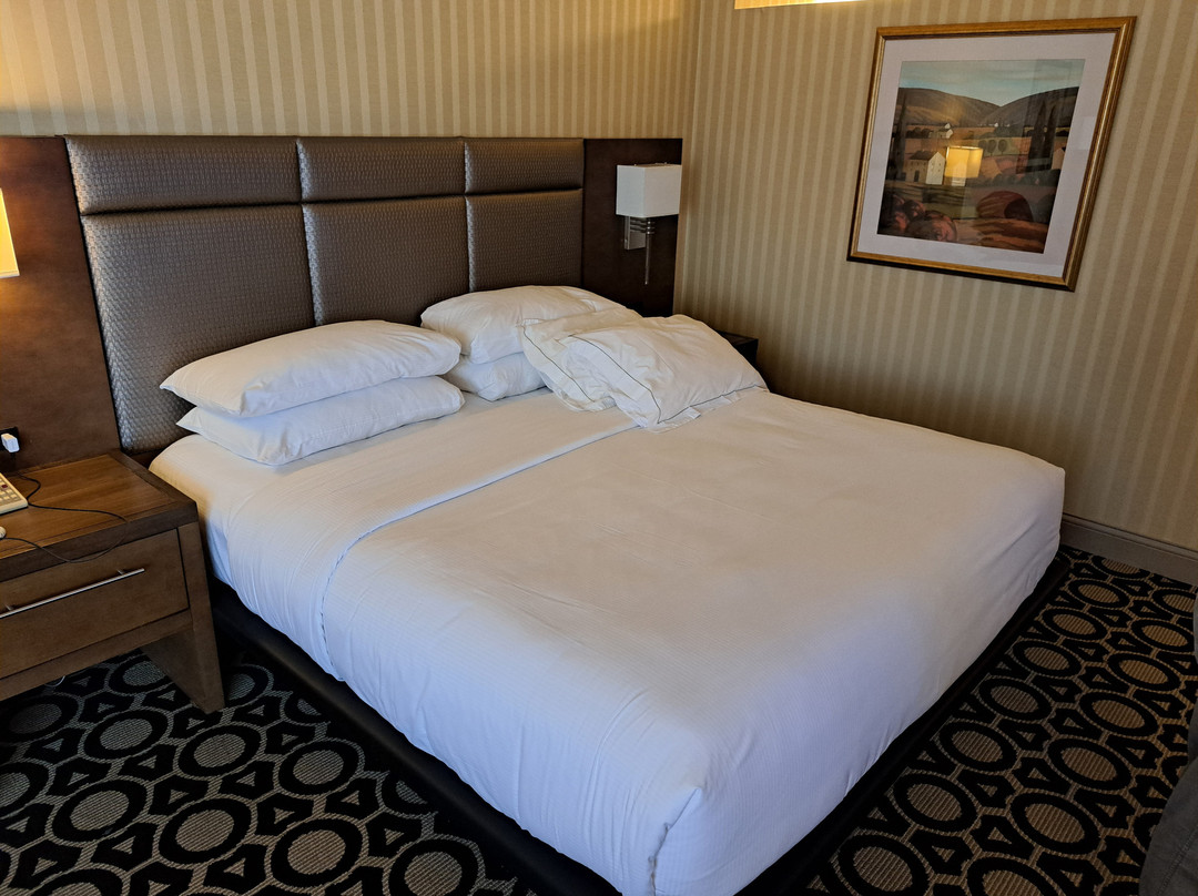 布鲁克希尔顿酒店主图