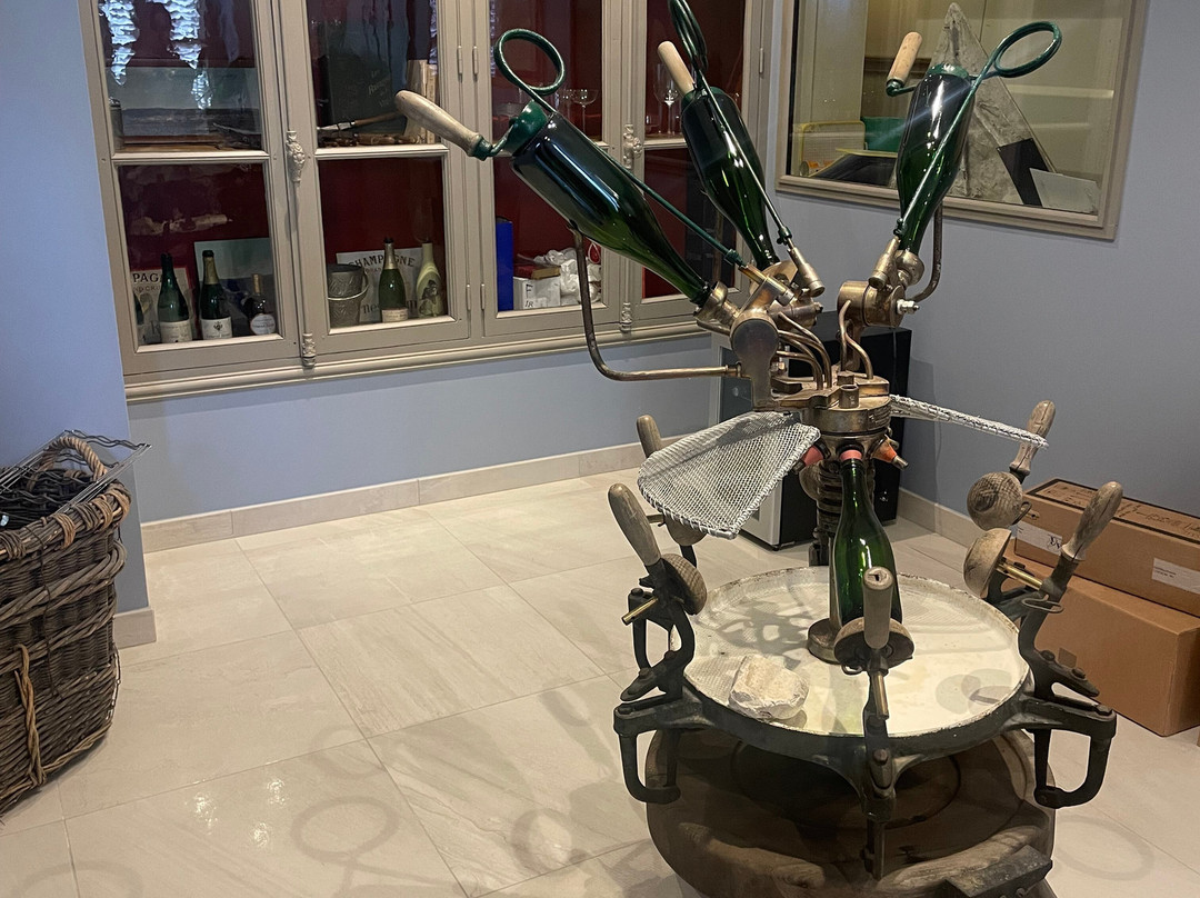 La Vigne du Roy Champagne Day Tours景点图片