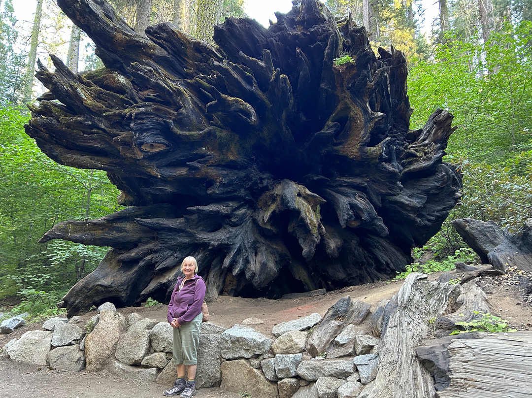 Sequoia Parks Conservancy-Three Rivers必去景点