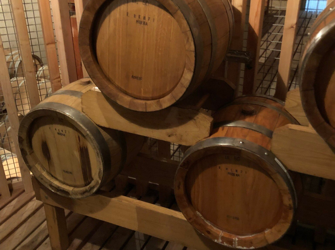Distilleria Marzadro景点图片