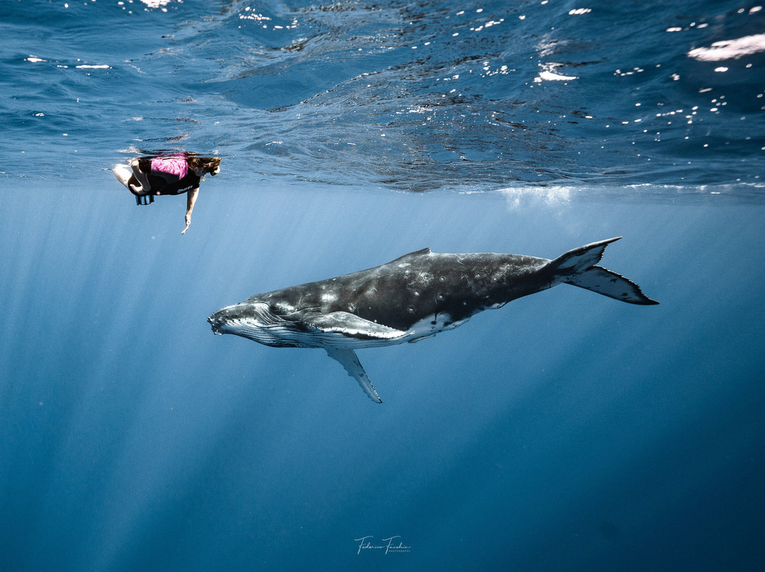 Explore Niue Island Tour-阿洛菲必去景点