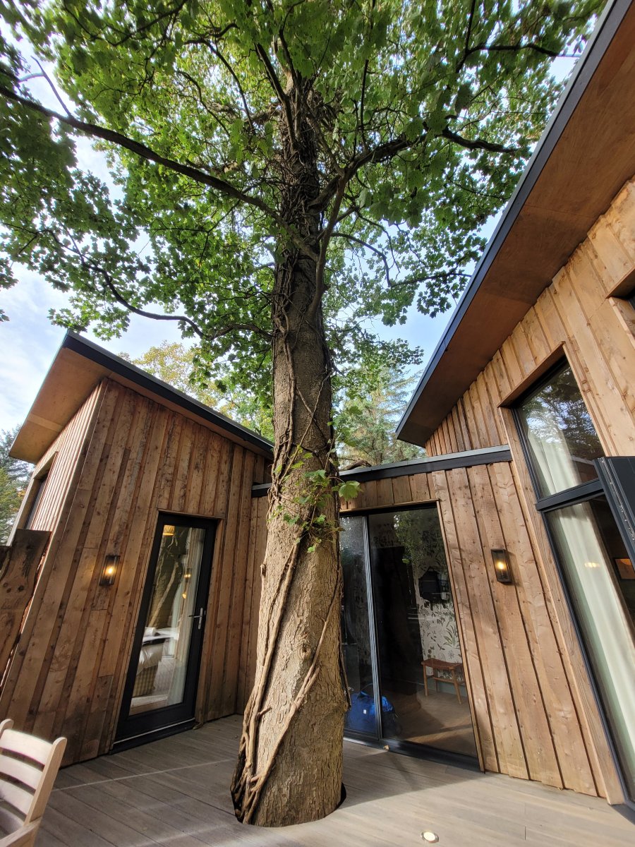 The Treehouses at Leckie-浴室