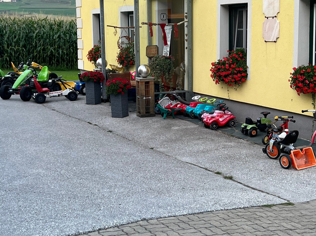 Erlebnisbauernhof Steinerhof In Kärnten主图