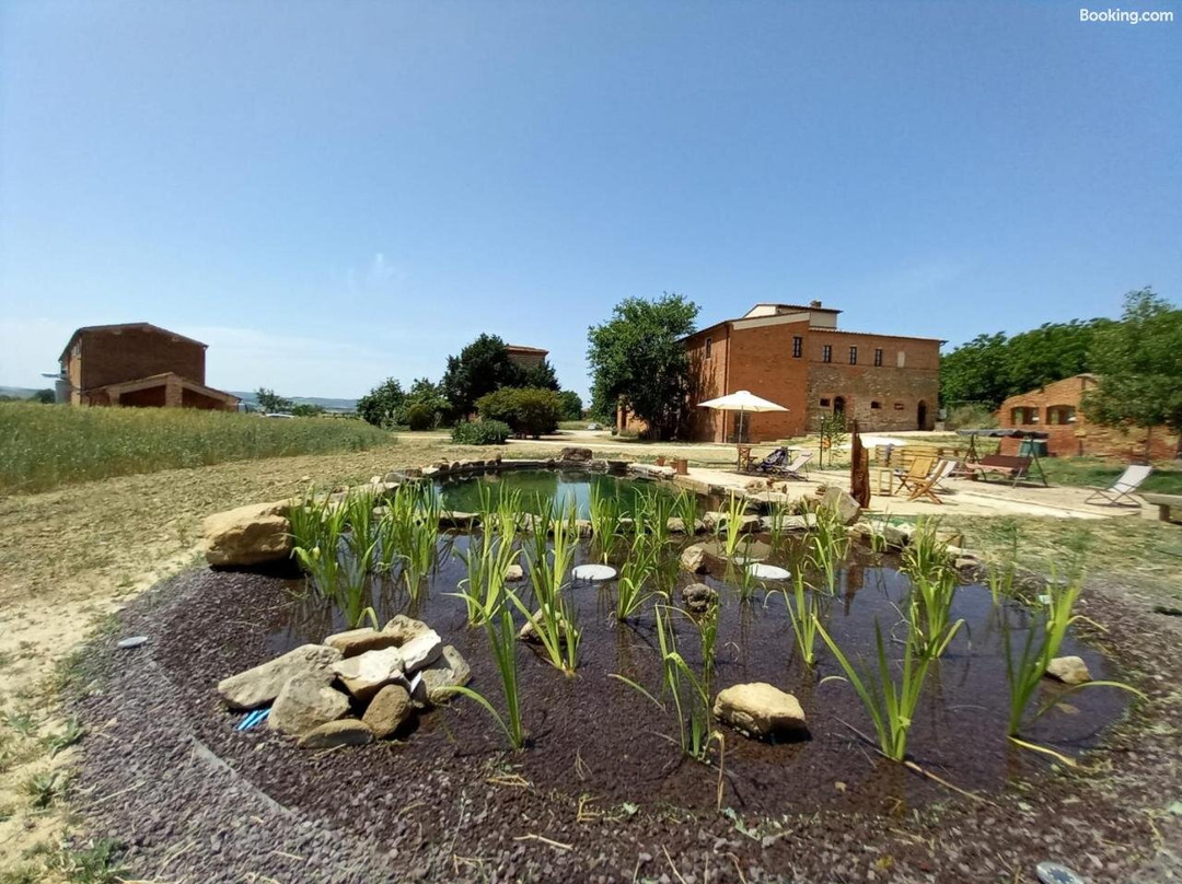 Azienda Agricola Passerini - Agriturismo Podere Padolecchie主图