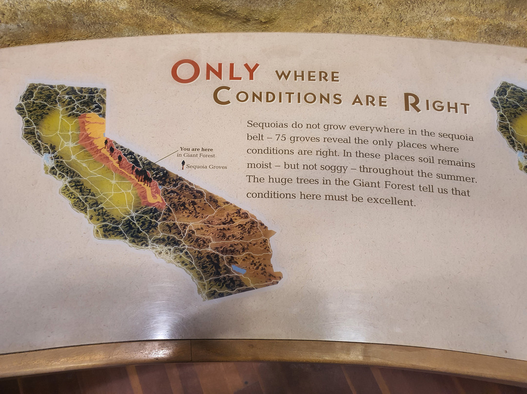 Giant Forest Museum-红杉&国王峡谷国家公园必去景点