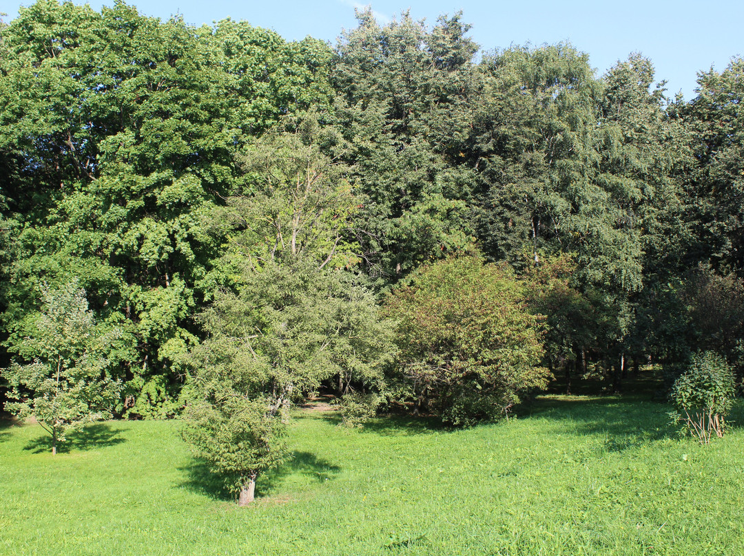 Park Druzhby景点图片