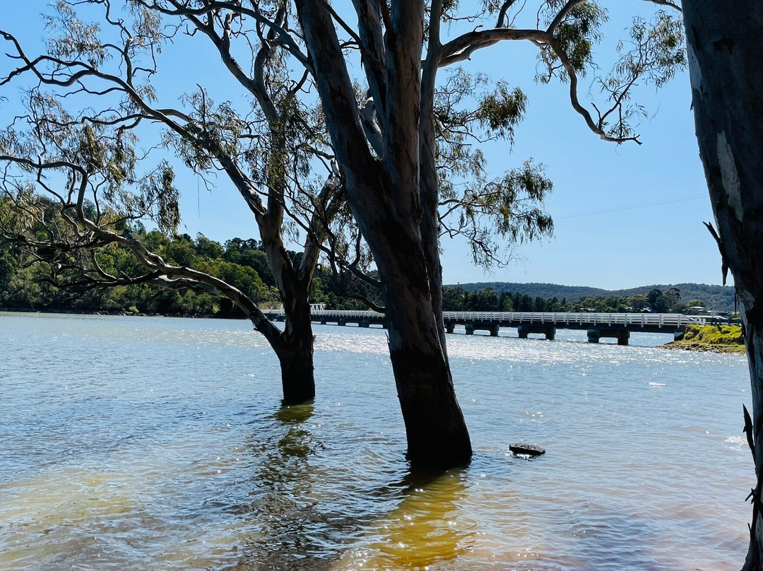 Glenmaggie Bridge-Glenmaggie必去景点