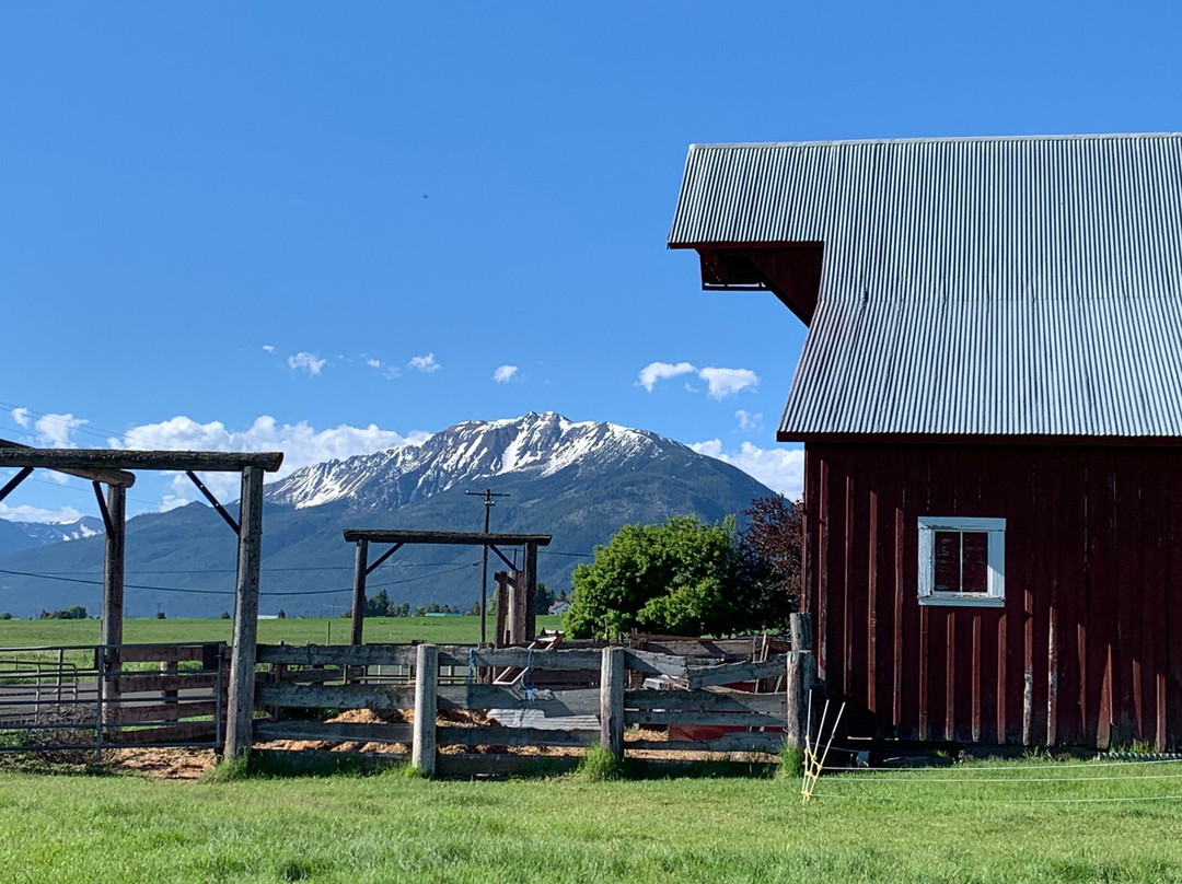 Barking Mad Farm B & B主图