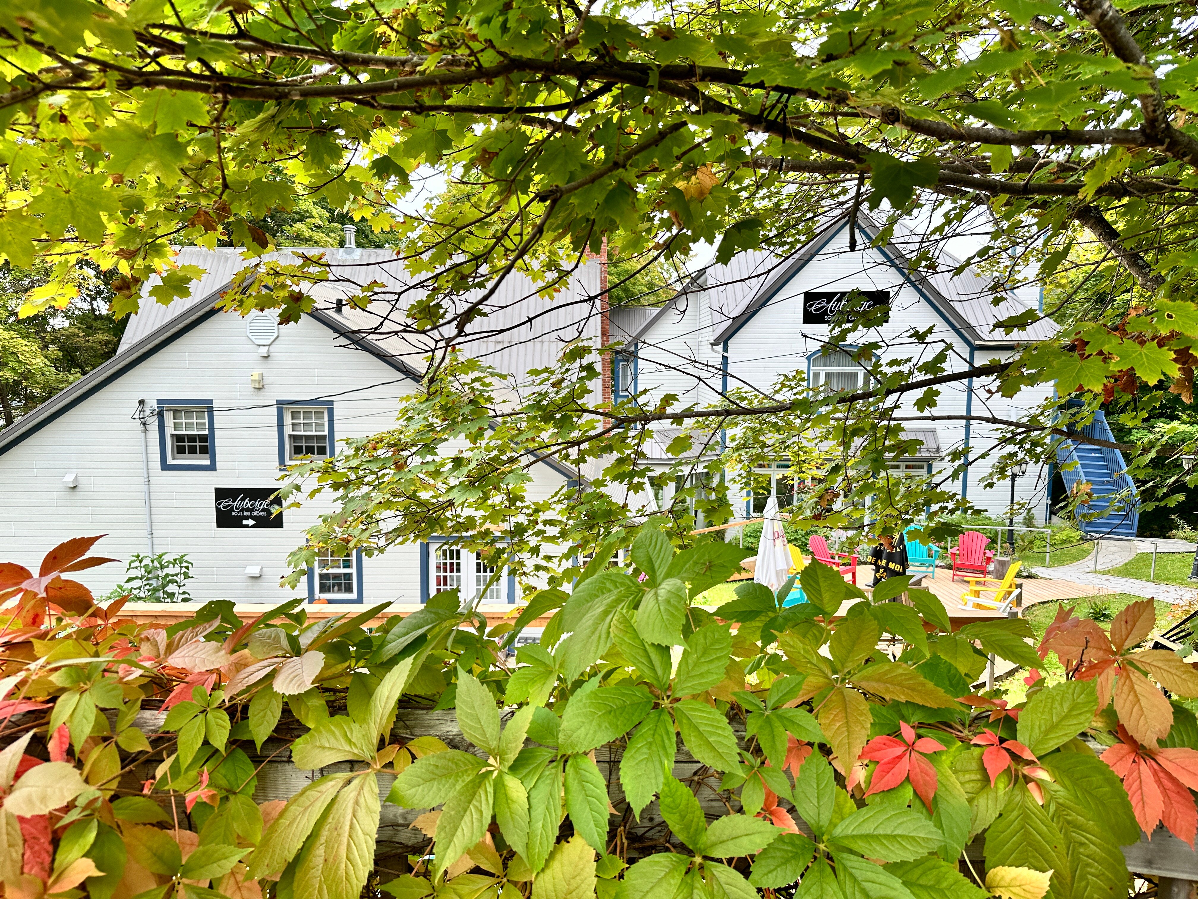 Auberge sous les Arbres-浴室
