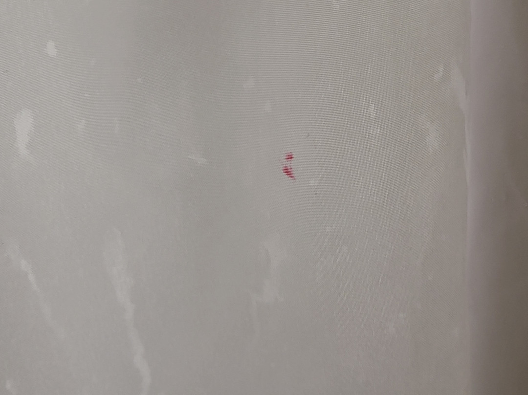 Bear Mountain Inn & Overlook Lodge主图