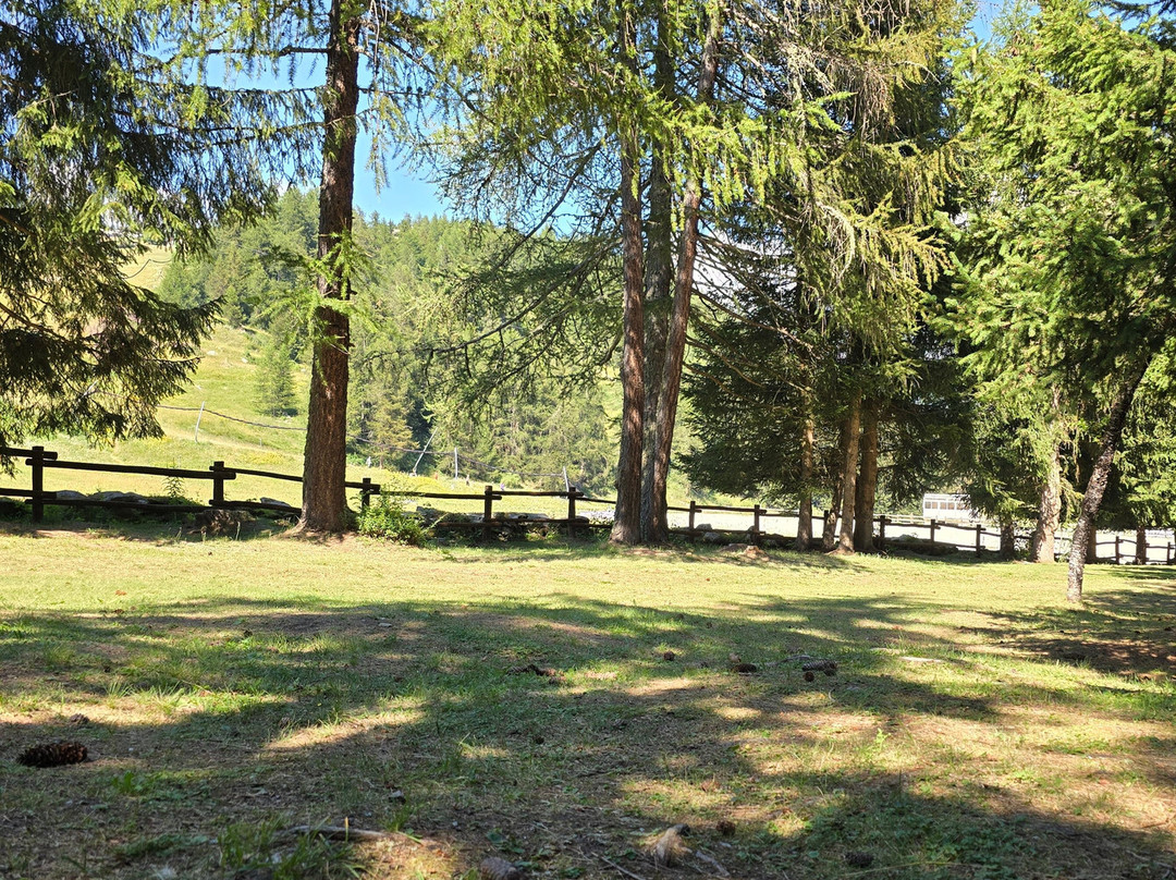 Area pic nic "Chantorné"景点图片