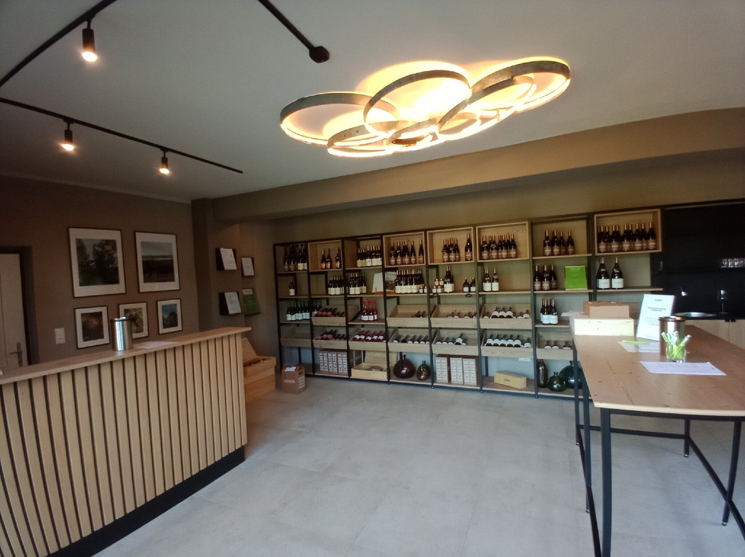 Weingut SCHAUER主图