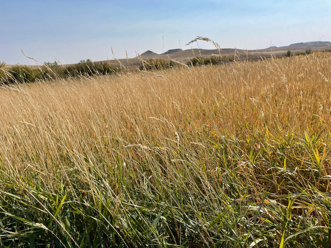 Agate Fossil Beds National Monument景点图片