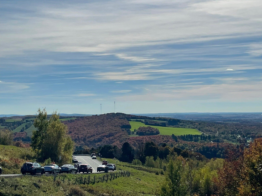 Parc du Mont Arthabaska-Victoriaville必去景点
