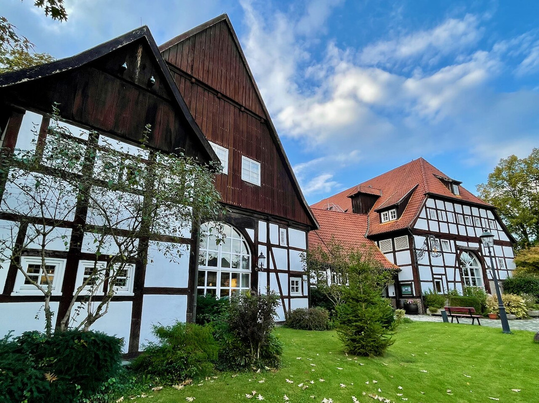 玛丽蒂姆巴特萨森多夫酒店主图