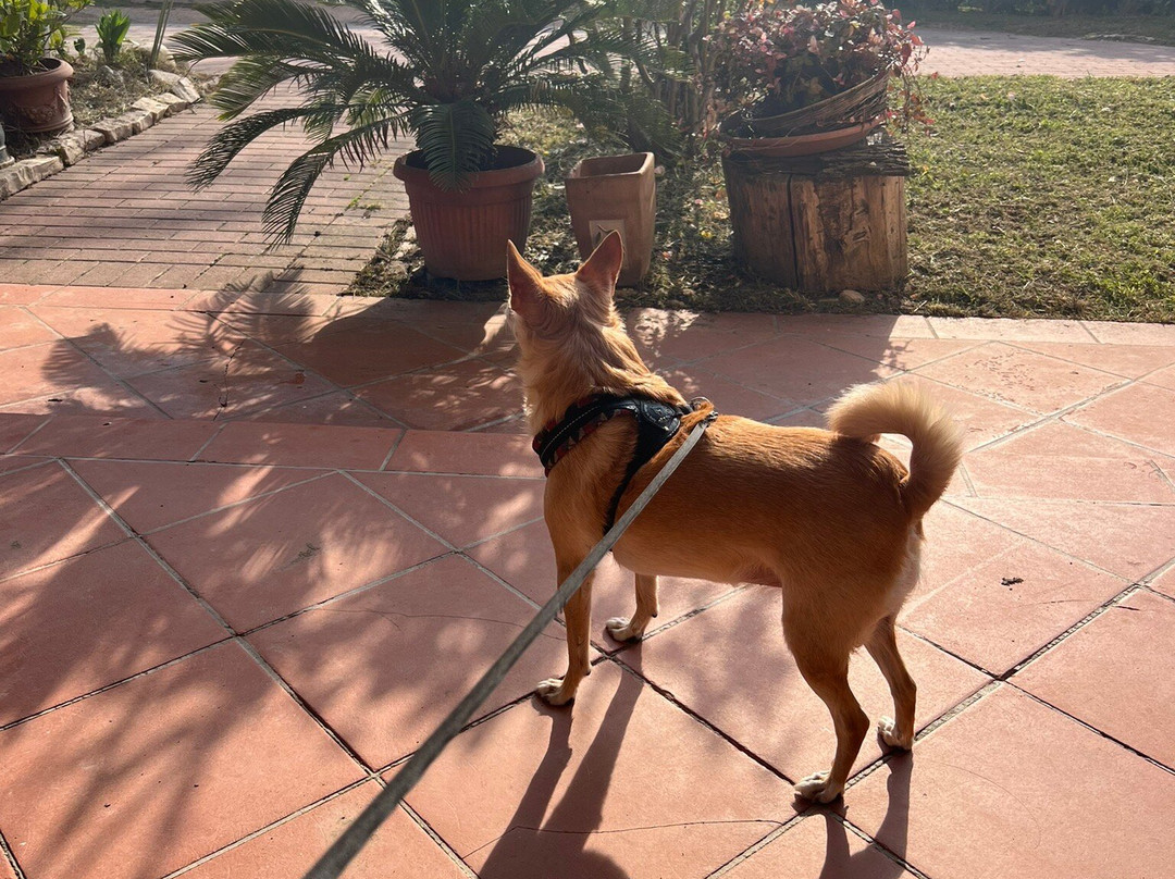 B&B Dora e Flavio主图