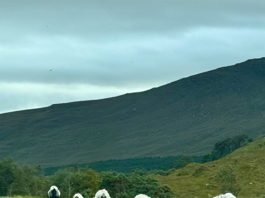 Doolough Valley-County Mayo必去景点