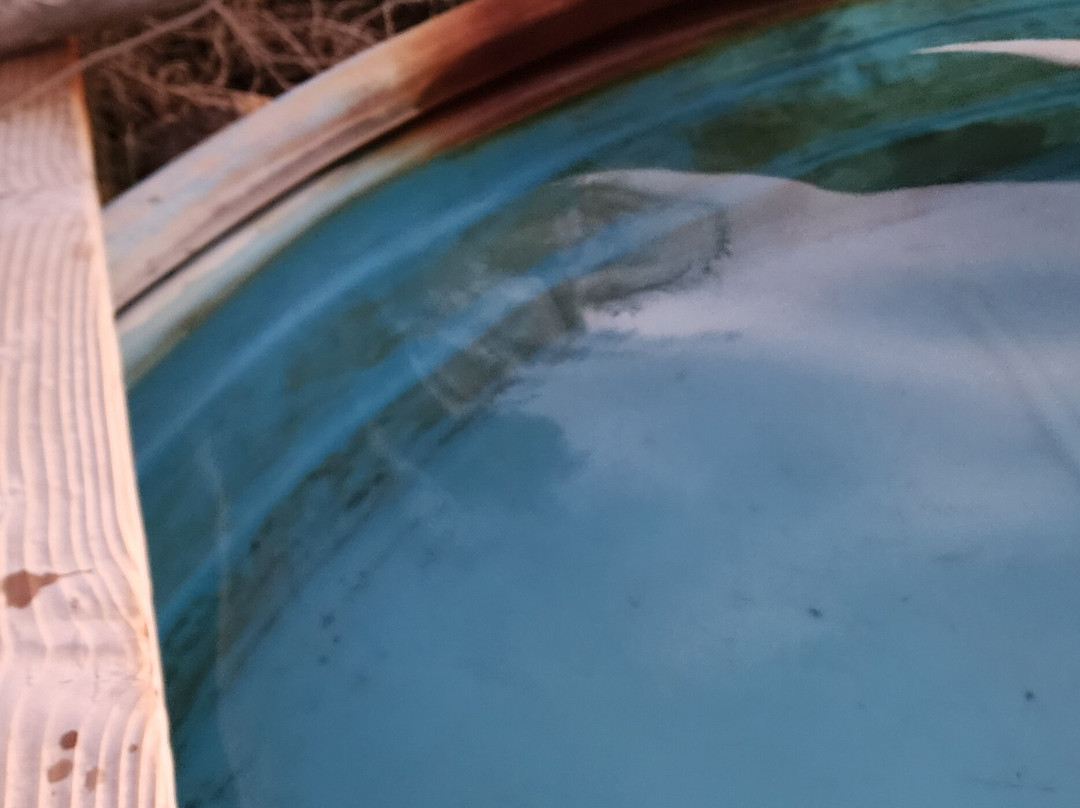 Spencer Hot Springs-Austin必去景点