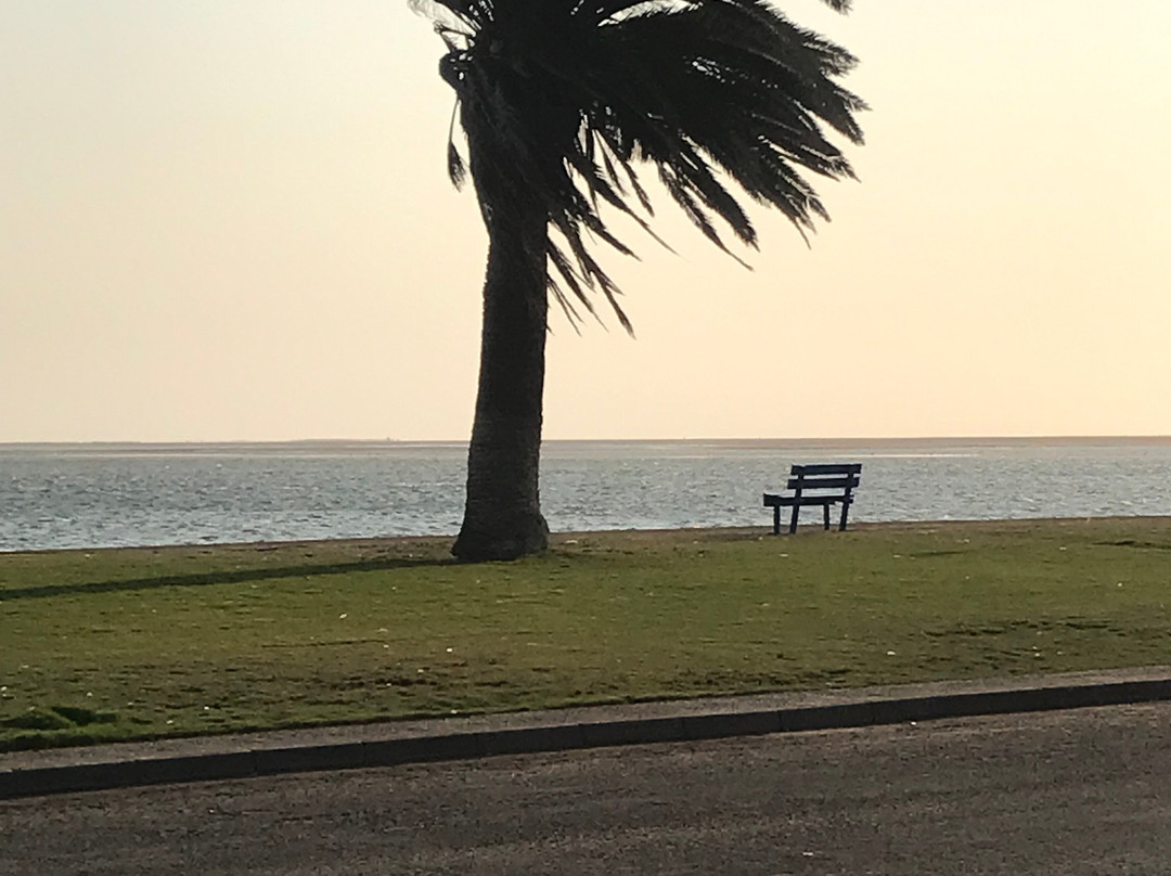 Oyster Box Guesthouse主图