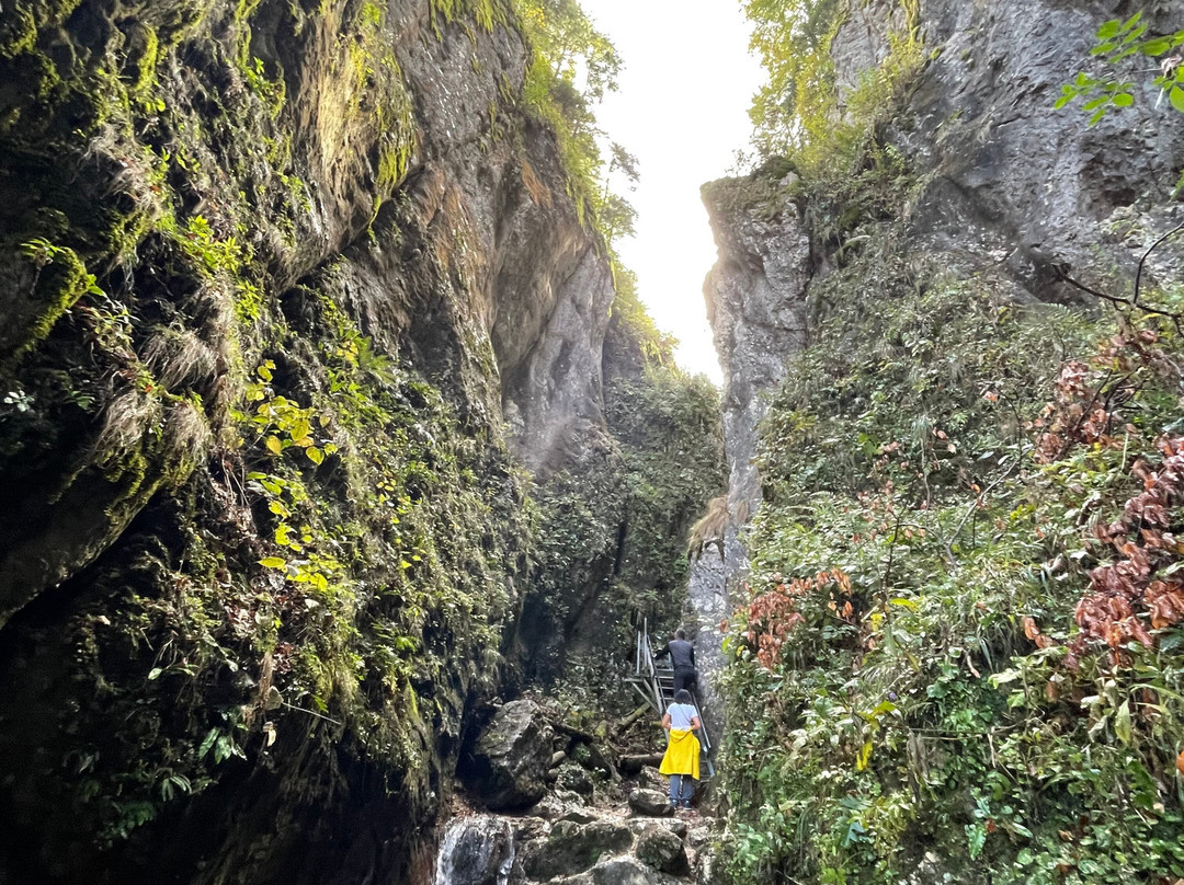 Seven Ladders Canyon景点图片