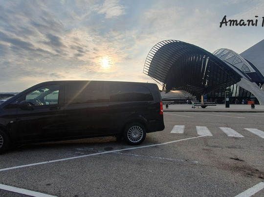 Votre Chauffeur Amani Driver-里昂必去景点