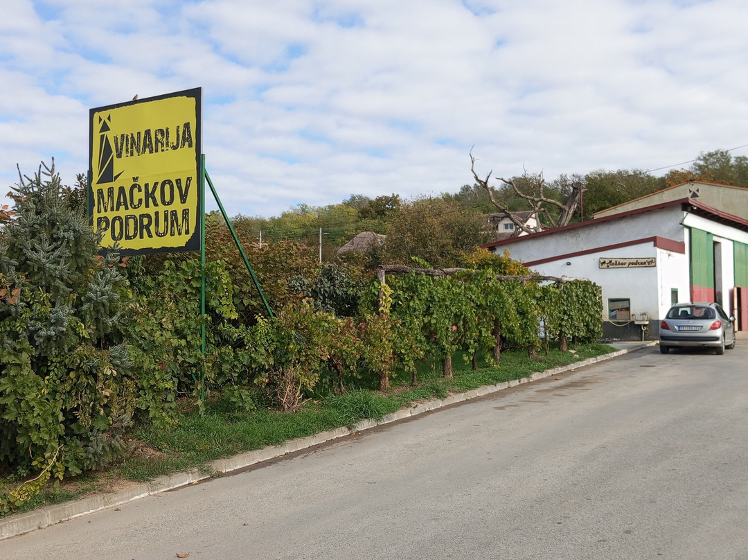 Tomcat's Winery-Irig必去景点