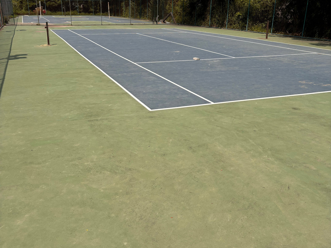 Palm Green Club主图