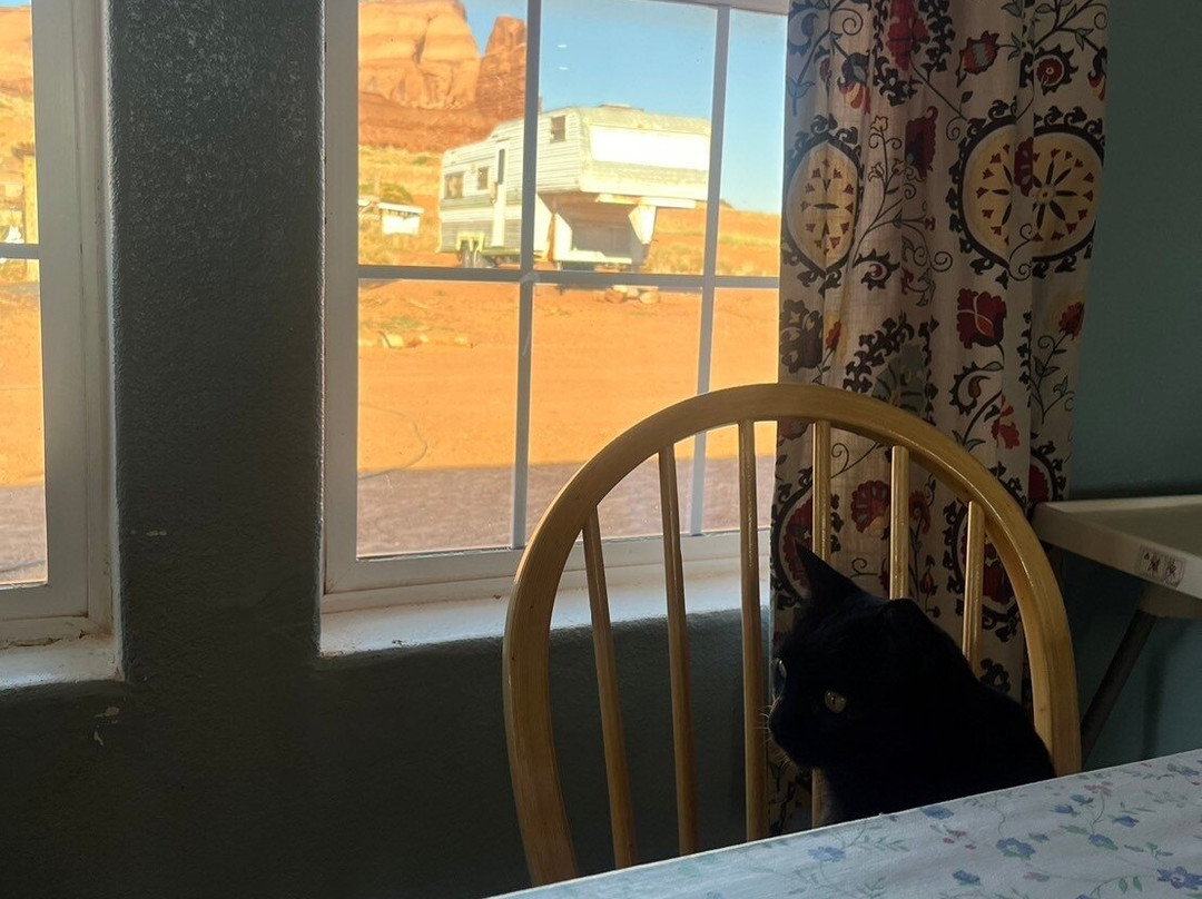 Tear Drop Arch B&B主图