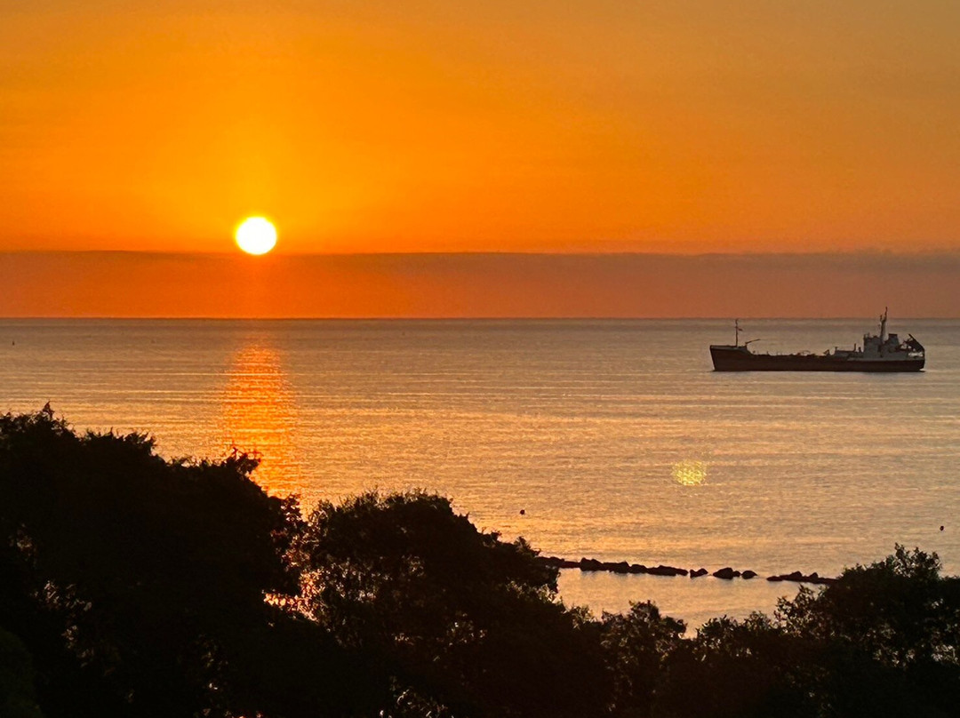 Spanos Buses Cyprus-利马索尔必去景点