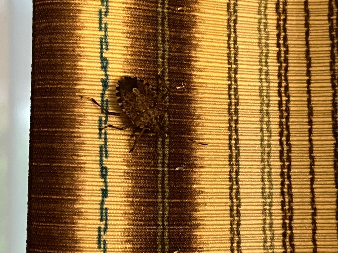 Best Western Lexington Inn主图