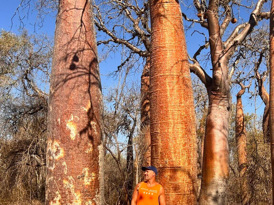 SOBEHA MADAGASCAR TOUR-安塔那那利佛必去景点