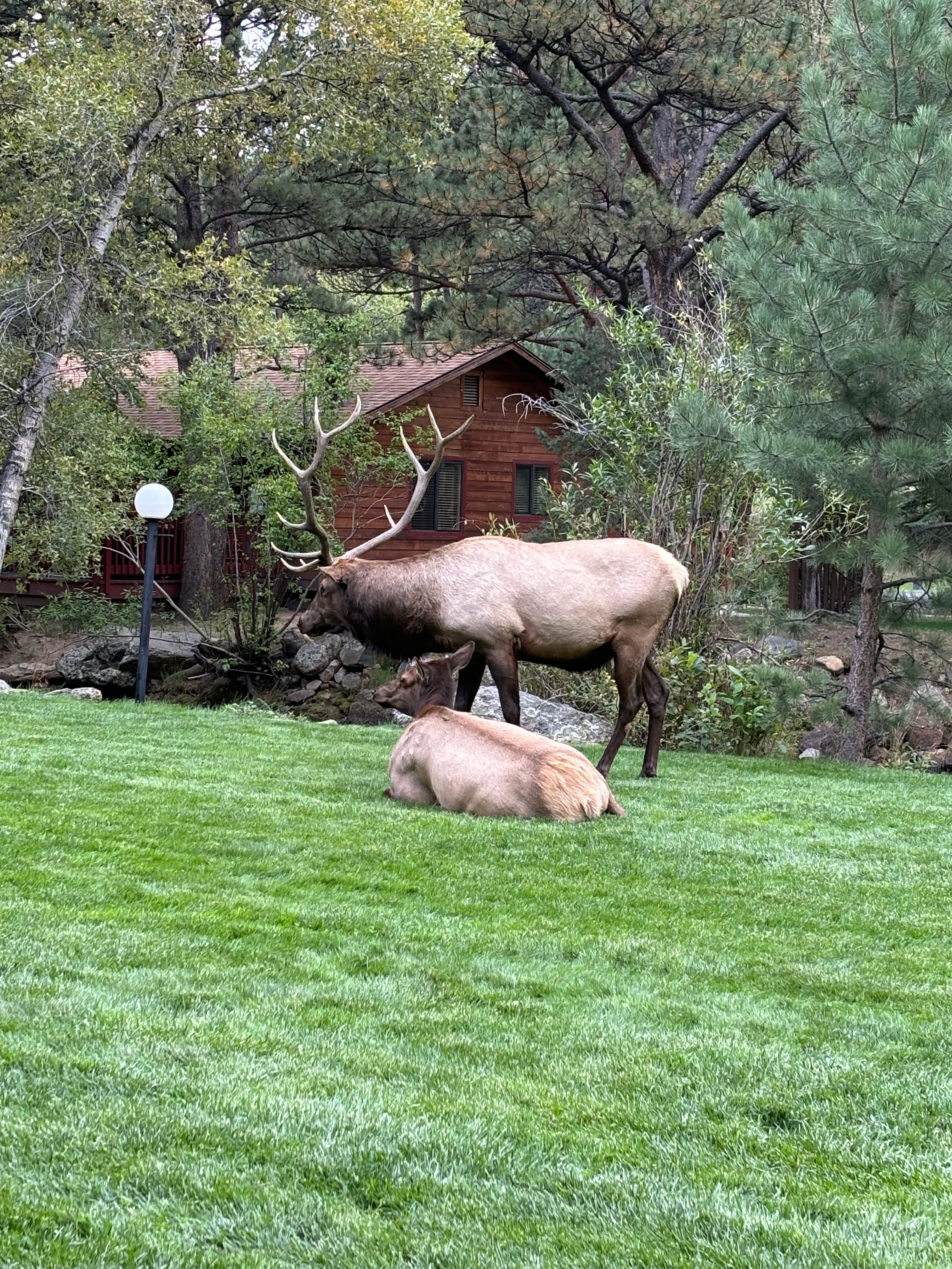 Deer Crest Resort-浴室