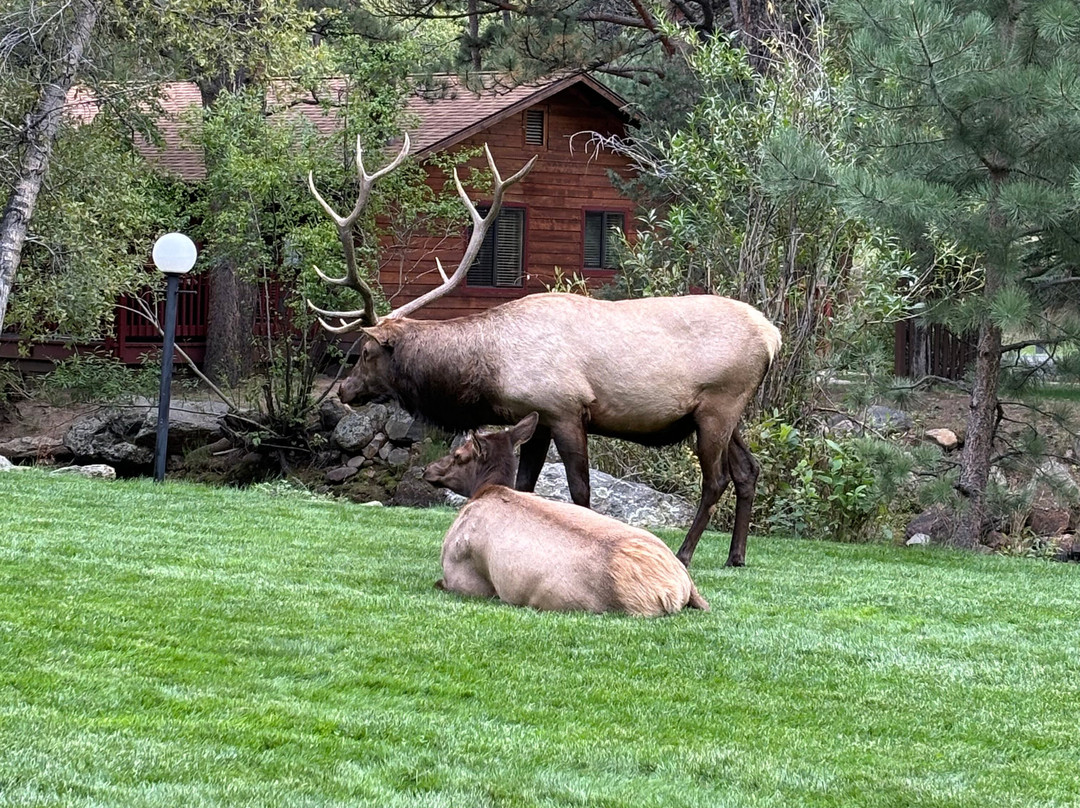 Deer Crest Resort主图