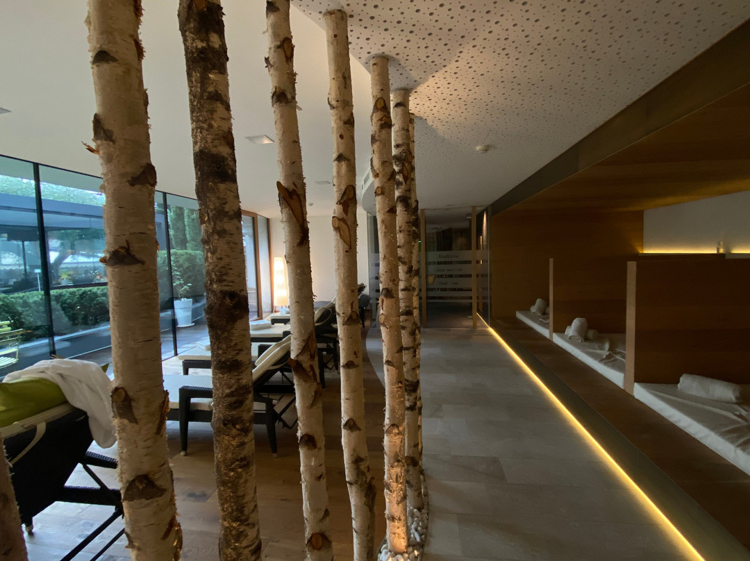 Boutique Hotel Zum Rosenbaum主图