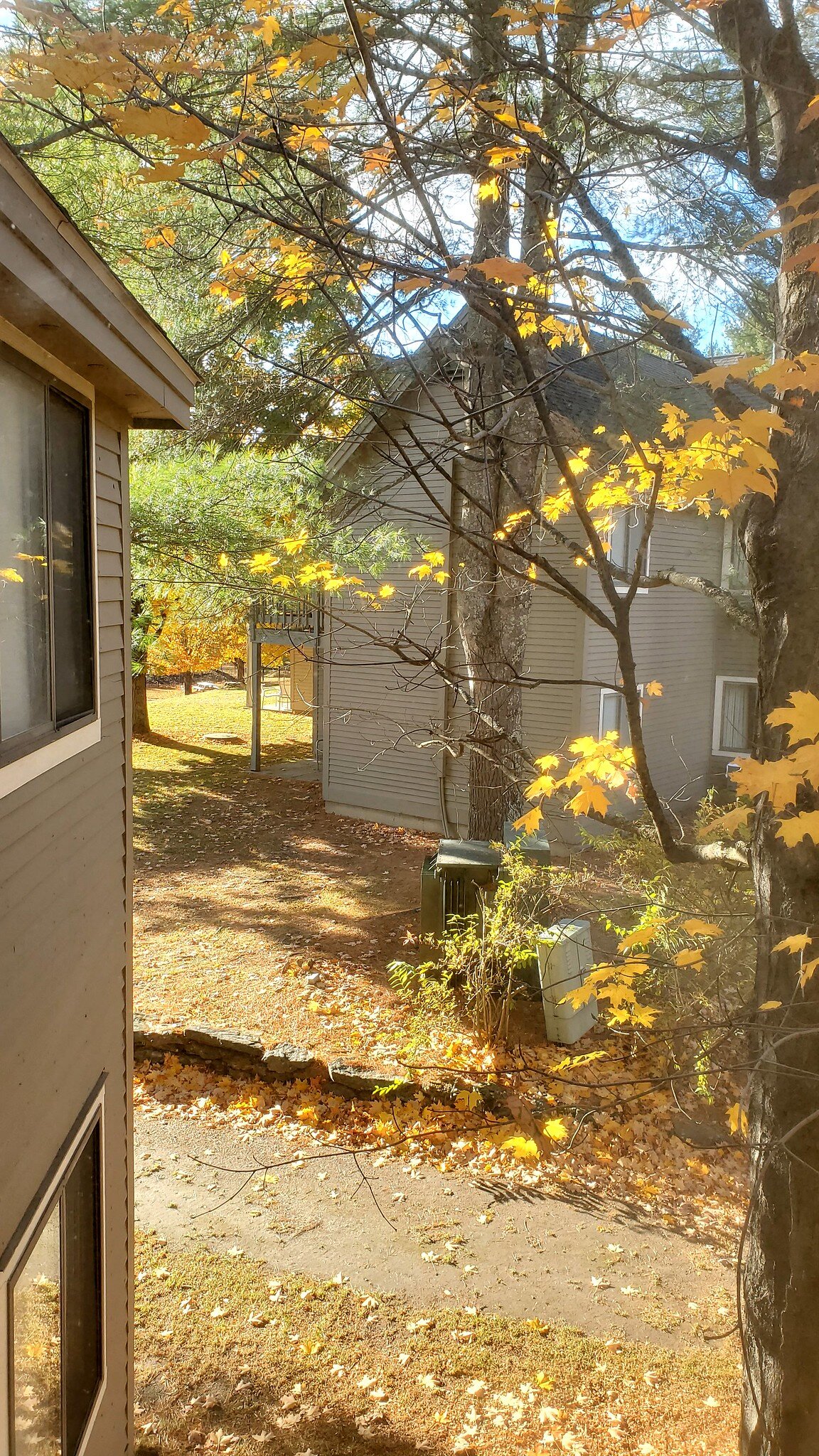 Best Western Inn & Suites Rutland-Killington-浴室