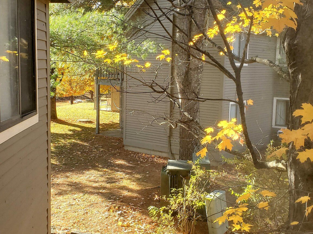 Best Western Inn & Suites Rutland-Killington主图