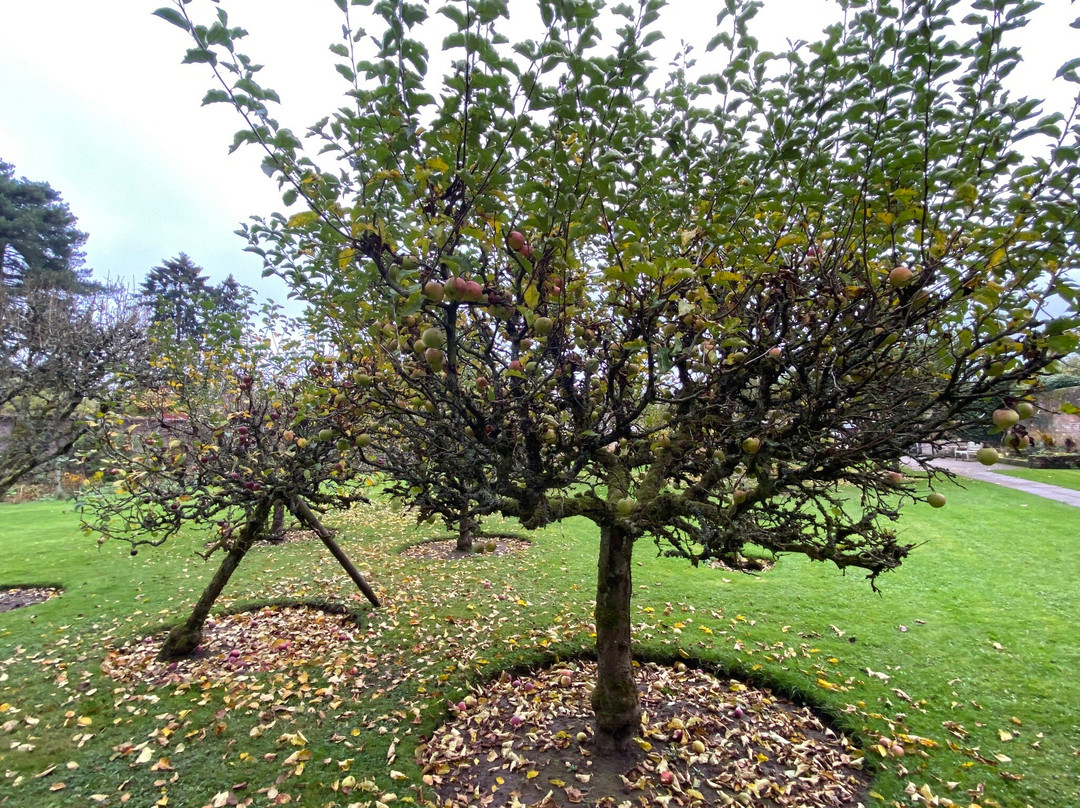 Arley Arboretum & Gardens景点图片