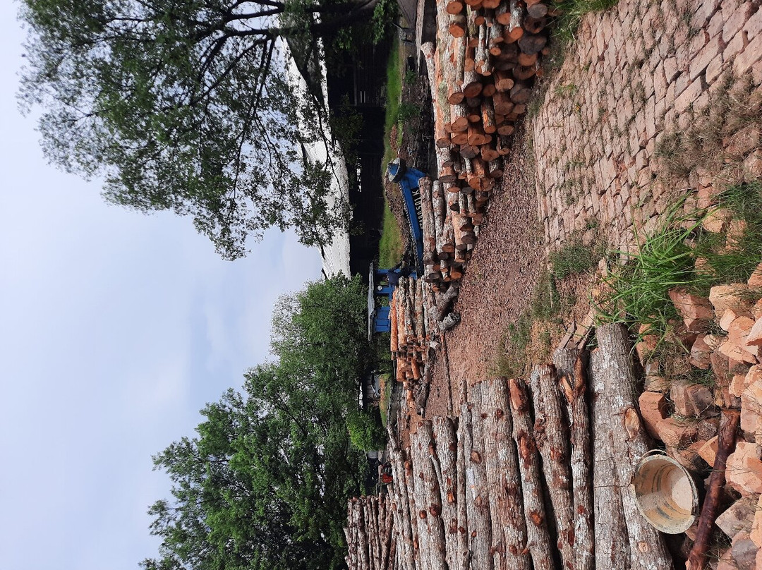 Kuala Sepetang Charcoal Factory-太平必去景点