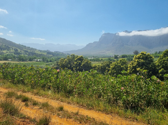 Adventureshop Stellenbosch-斯泰伦博斯必去景点