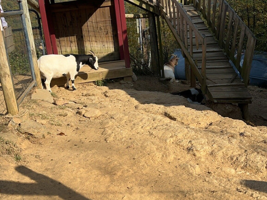 Fainting Goat Vineyards and Winery-Jasper必去景点