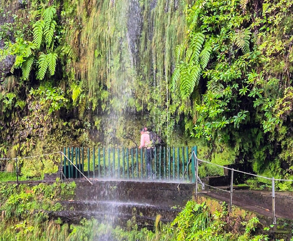 PR16 Levada Fajã do Rodrigues-Sao Vicente必去景点