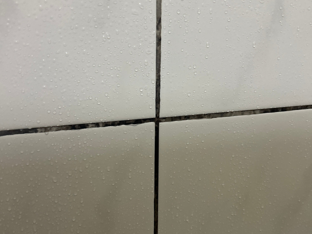 Fiesta Park Hotel主图