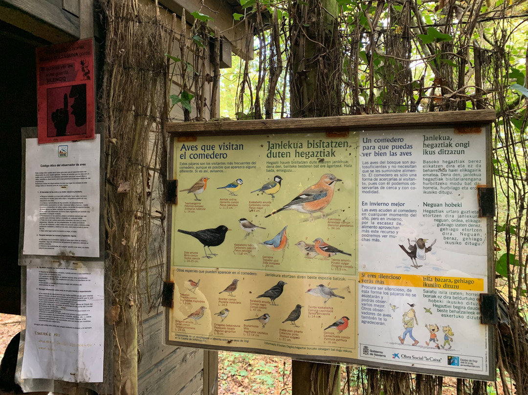 Bosque de Orgi-Lizaso必去景点