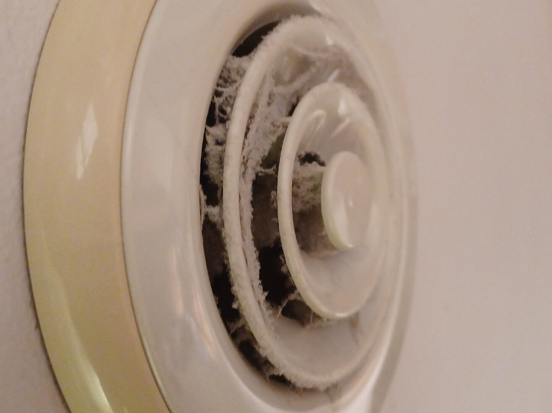 The Salty Monk主图