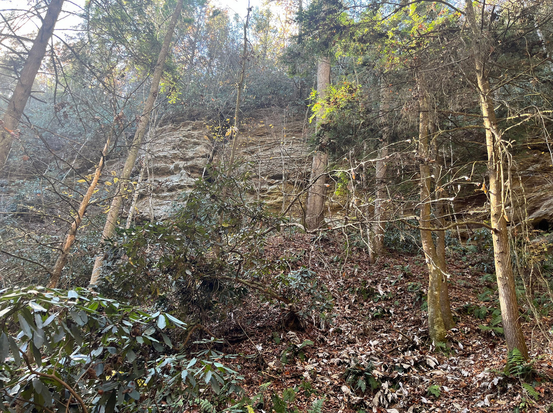 Rock Bridge Trail #207-Slade必去景点