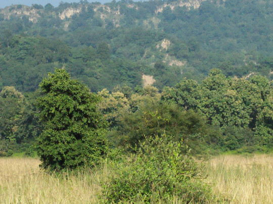 Jim Corbett Tiger Reserve