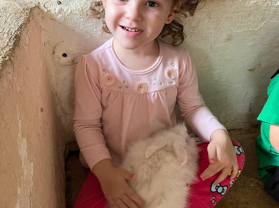 Hotel Fazenda Terra Dos Sonhos主图